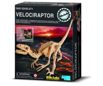 Wykopaliska - Dino szkielety - VELOCIRAPTOR